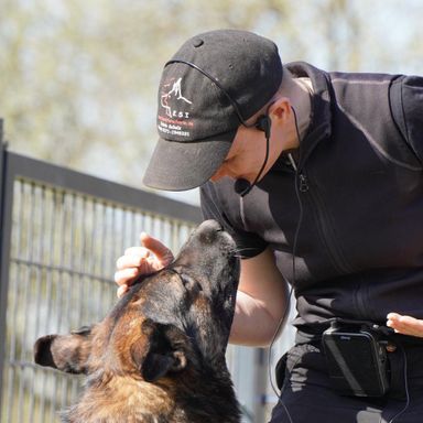 Katrin Scholz Hundeforscherin