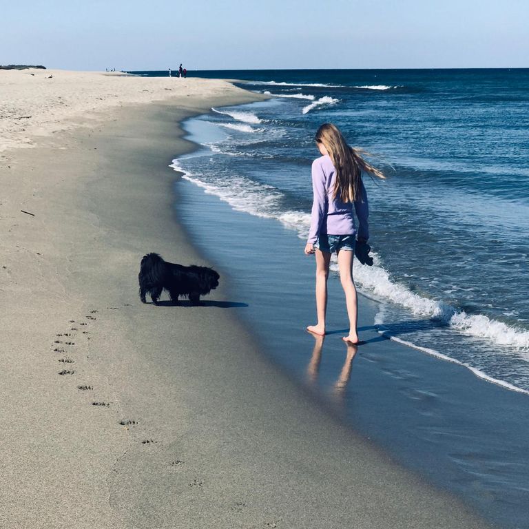 Simone Altenried Werwolf-Akademie Hundetraining Reisen mit Hund