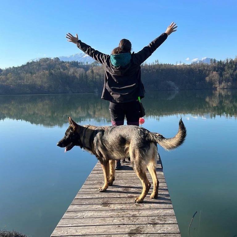 Simone Altenried Werwolf-Akademie Hundetraining