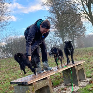 Simone Altenried Werwolf-Akademie Hundetraining