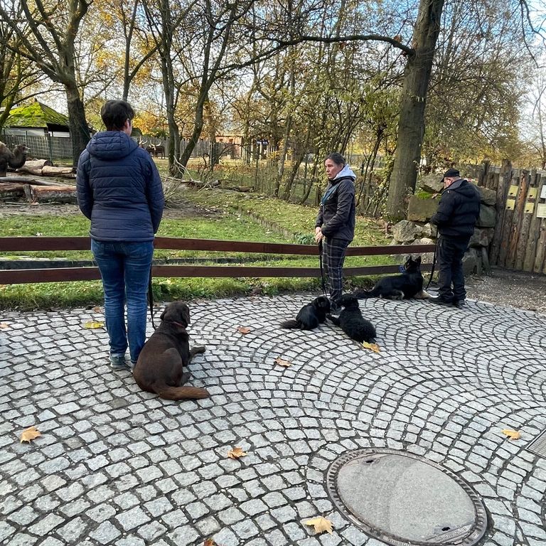 Simone Altenried Werwolf-Akademie Hundetraining Hundeschule