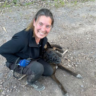 Simone Altenried Werwolf-Akademie Herdershond Hundetraining